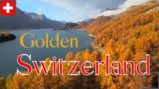 Engadin Switzerland  the golden larches [upl. by Eirol]