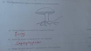 Biology paper 1 Quick revision Questions and Answers ❤️milkahwambui6693 [upl. by Zarihs]