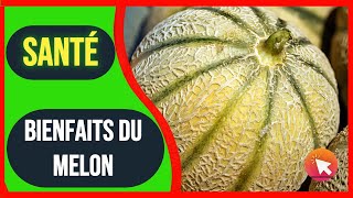 Bienfait du melon dans le corps [upl. by Amlas289]