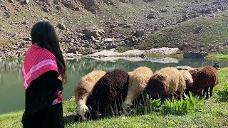 Hawar Delal  Dengbej Lokman 💐 KÜRTÇE YENİ KLİP  Dengbeji Uzun Hava Türküsü [upl. by Laural]