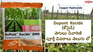 Dupont Kocide fungicide కోసైడ్ తెగులు నివారిణి in Telugu  Copper Hydroxide [upl. by Joelynn156]