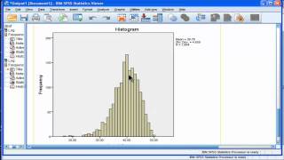 Kurtosis  SPSS part 2 [upl. by Brandtr]