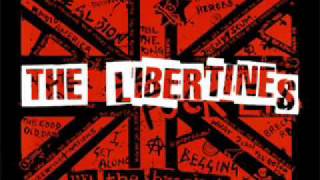 The Libertines  Dont Look Back Into Sun with lyrics in description [upl. by Anaej]