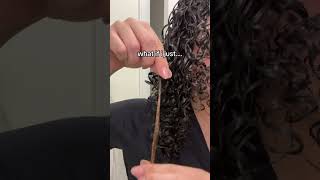 I’TS NOT PERMANENT  curly curlyhairstyles foryou hair hairgrowth fypシ゚viral afro [upl. by Carole612]