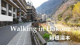 46 Walking in Hakone  Japanese famous spa town 箱根湯本を散策 [upl. by Aihsa281]