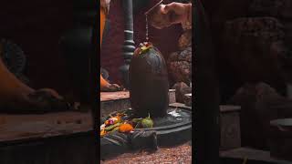 ✨ Sawan ka Mahina Pawan kare shor 🔱 Mahadev sawan status 🙏 🚩💯 youtubeshortvideo mahadev [upl. by Atires938]