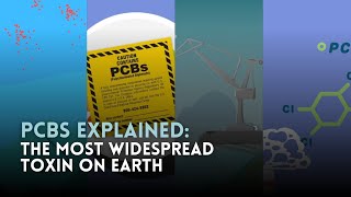 PCBs Explained The Most Widespread Toxin on Earth [upl. by Cower]