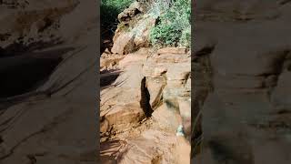 Super Full Moon Hike On Doe Mountain In Sedona sedona trail hiking adventure fullmoon [upl. by Aslam604]