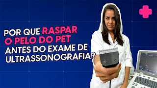 Tricotomia uma preparação INDISPENSÁVEL para o exame de ultrassonografia veterinária [upl. by Adlemi]