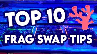 Top 10 Frag Swap Tips [upl. by Ennayar]