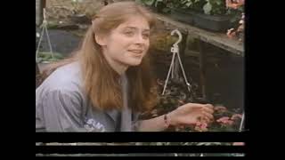 Helen Slater in quotAmy amp the Angelquot 1982 [upl. by Lenes]