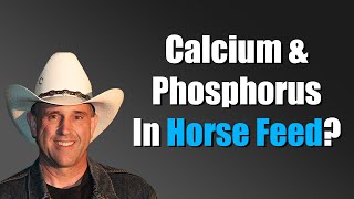 Why are Calcium Ca and Phosphorus P added to Horse Feed How do they affect equine nutrition [upl. by Kumar]