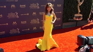 Susan Lucci 2017 Daytime Emmy Awards Red Carpet [upl. by Hajidahk]