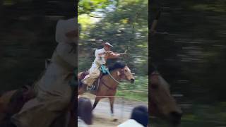 Horseback Archery 🎯🐎 vol2 japanjapantravelkyotokyototriptraditional京都京都観光伝統文化 日本の風景流鏑馬 [upl. by Gilbert846]