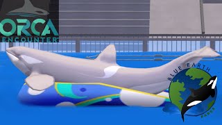 Orca Encounter In La Palma Blue Earth  La Palma Zoo tycoon 2 [upl. by Relyuhcs528]