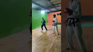 Taekwondo sparring practice [upl. by Akihsay]