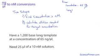 nanogram per microliter to nanomolar conversion [upl. by Ttiwed543]