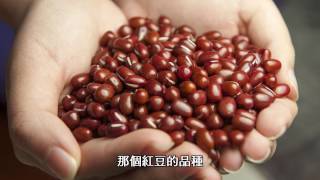 【主廚來解答】煮紅豆湯零失敗 只要5分鐘？ feat微微蔡老師  壓力鍋  瑞康屋 [upl. by Atsuj]