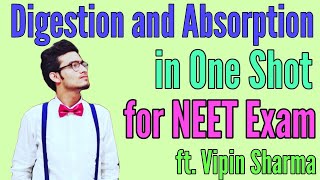 Digestion and Absorption in One Shot  Best Revision for NEET ft Vipin Sharma  Human Physiology [upl. by Arakat1]