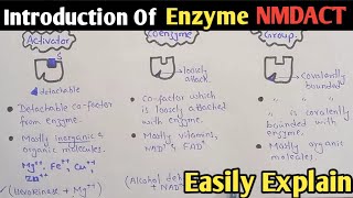 Introduction Of Enzyme  NMDCAT 2022  Enzyme [upl. by Annerahs]