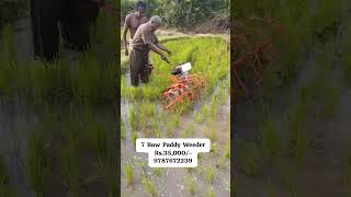 paddy Weeder rs 13000 9787672239 Melur Madurai TN India 3 [upl. by Zerep333]