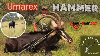 Umarex Hammer 50 Cal Sable hunt in South Africa with Thor slugs [upl. by Zsamot]