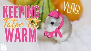 KEEPING TATER TOT WARM vlog [upl. by Quartus]