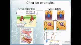 Pathophysiology 10 Electrolyte imbalace [upl. by Ehrsam121]