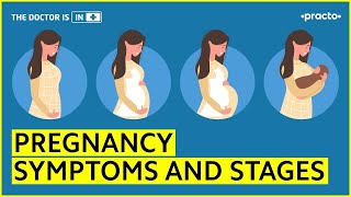 Pregnancy Symptoms and Stages1st 2nd and 3rd Trimester  Practo [upl. by Bartolemo]