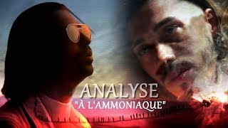 LANALYSE COMPLÈTE quotÀ LAMMONIAQUEquot DE PNL [upl. by Gilliam480]