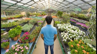 This is Punes wholesale plant nursery  The Enchanted Gardens [upl. by Amilas]