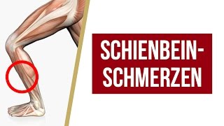 Schienbeinschmerzen  Übungen  Tipps von Liebscher amp Bracht  Faszienrolle Engpaassdehnungen [upl. by Sawtelle]