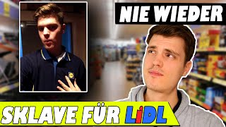 Aushilfe bei LIDL So hart knallt die Peitsche im Supermarkt  Erfahrungsbericht [upl. by Eiknarf]