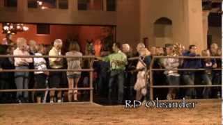 RaeDawn Arabians Scottsdale Farm Tour [upl. by Eak]