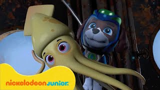 PAW Patrol  La Pat Patrouille  Les meilleurs moments de la saison 8 Partie 2  Nickelodeon Jr [upl. by Neerom]