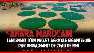 Sahara marocain  Lancement dun projet agricole gigantesque par dessalement de l’eau de mer [upl. by Anan736]