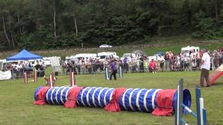 Concours Agility France 2014 [upl. by Mac789]