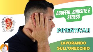 ACUFENI SINUSITE e STRESS dimenticali lavorando sullorecchio [upl. by Dorey715]