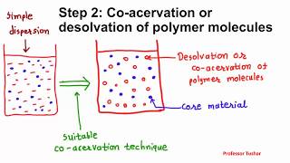 Microencapsulation by coacervation phase separation Microcapsule preparation [upl. by Saxena]