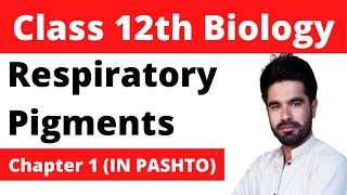 Respiratory Pigments  Haemoglobin Myoglobin 12th class biology in pashto  Home of biology [upl. by Asiilanna]