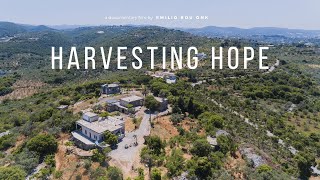 Harvesting Hope  A Short Documentary [upl. by Farnsworth574]