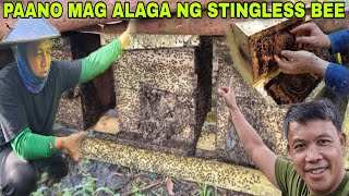 Paano ang Tamang pag aalaga ng stingless bee LUKOTDoc Pj ibinahagi mga kaalaman sa Pag aalaga [upl. by Benedick]