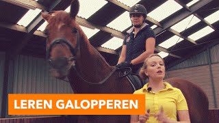 Leren galopperen l PaardenpraatTV [upl. by Enautna855]