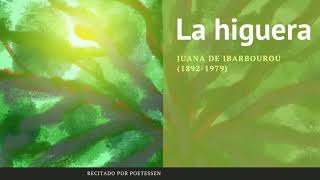 LA HIGUERA  Un poema recitado de Juana de Ibarbourou [upl. by Beckerman]