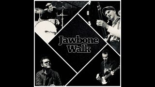 Cover  Jockey Full Of Bourbon  Jawbone Walk [upl. by Verdie501]