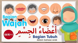 Belajar nama bagian tubuh dalam bahasa arab  seri 1 bagian wajah [upl. by Taffy965]