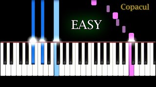 Aurelian Andreescu  Copacul  Piano Tutorial [upl. by Mays642]