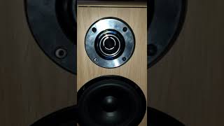 Eltax concept 200 floor standing speakers  sound test [upl. by Erick]