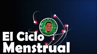 Ciclo menstrual  Menstruación 3D [upl. by Nnairahs]