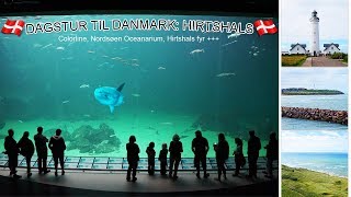 Dagstur til Danmark Hirtshals Nordsøen Oceanarium ser Månefisken Hirtshals fyr [upl. by Notsecnirp]